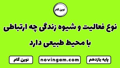 نوع فعالیت و شیوه زندگی چه ارتباطی با محیط طبیعی دارد