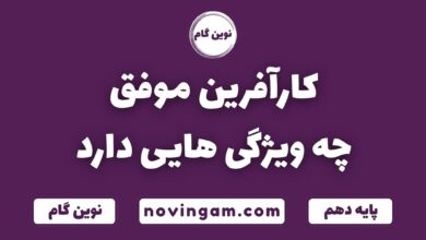 ویژگی های کارآفرین موفق