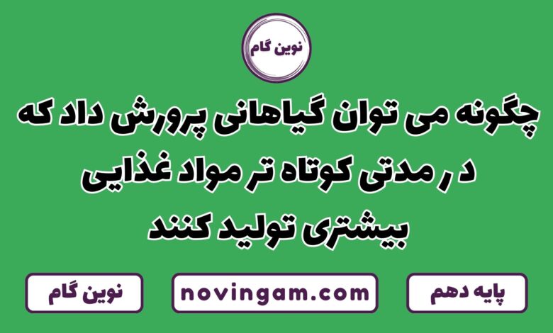 چگونه گیاهانی پرورش دهیم که مواد غذایی بیشتر تولید می کنند