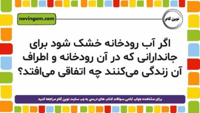 اگر آب رودخانه خشک شود برای جاندارانی که در آن رودخانه و اطراف آن زندگی می‌کنند چه اتفاقی می‌افتد
