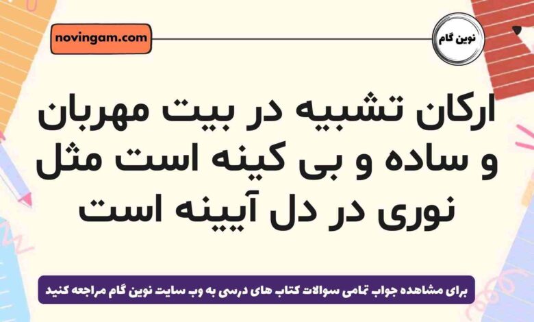ارکان تشبیه در بیت مهربان و ساده و بی کینه است مثل نوری در دل آیینه است