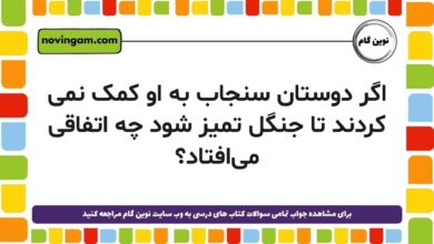 اگر دوستان سنجاب به او کمک نمی کردند تا جنگل تمیز شود چه اتفاقی میافتاد