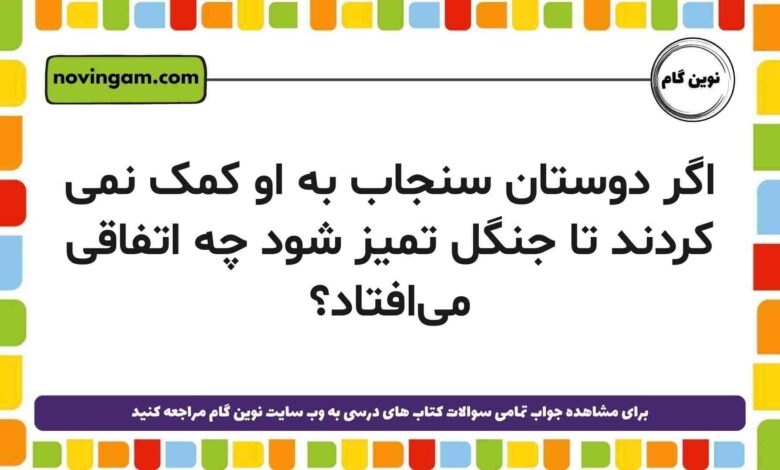 اگر دوستان سنجاب به او کمک نمی کردند تا جنگل تمیز شود چه اتفاقی میافتاد