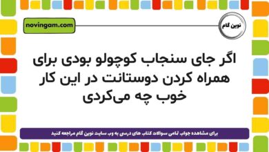 اگر جای سنجاب کوچولو بودی برای همراه کردن دوستانت در این کار خوب چه می‌کردی