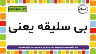 بی سلیقه یعنی