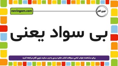 بی سواد یعنی
