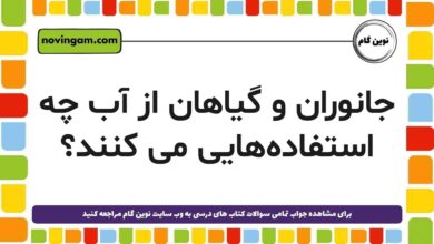 جانوران و گیاهان از آب چه استفاده‌هایی می کنند علوم دوم
