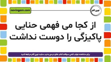 از کجا می فهمی حنایی پاکیزگی را دوست نداشت [مشاهده جواب]