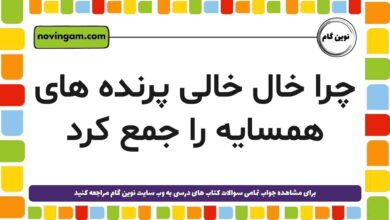 چرا خال خالی پرنده های همسایه را جمع کرد [مشاهده پاسخ]
