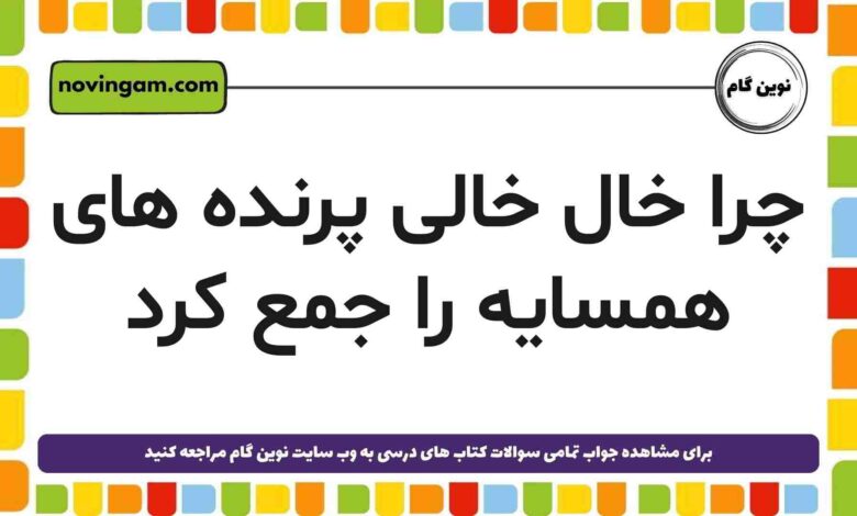 چرا خال خالی پرنده های همسایه را جمع کرد [مشاهده پاسخ]