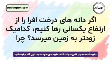 اگر دانه های درخت افرا را از ارتفاع یکسانی رها کنیم، کدامیک زودتر به زمین میرسد چرا