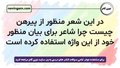در این شعر منظور از پیرهن چیست چرا شاعر برای بیان منظور خود از این واژه استفاده کرده است (جواب کامل)