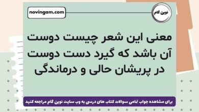معنی این شعر چیست دوست آن باشد که گیرد دست دوست در پریشان حالی و درماندگی