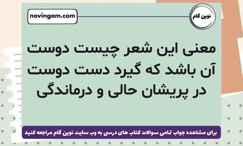 معنی این شعر چیست دوست آن باشد که گیرد دست دوست در پریشان حالی و درماندگی