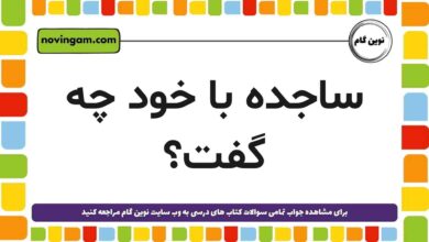 ساجده با خود چه گفت