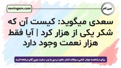 سعدی میگوید: کیست آن که شکر یکی از هزار کرد | آیا فقط هزار نعمت وجود دارد [پاسخ دقیق]