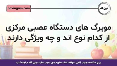 مویرگ های دستگاه عصبی مرکزی از کدام نوع اند و چه ویژگی دارند