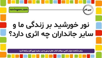 نور خورشید بر زندگی ما و سایر جانداران چه اثری دارد
