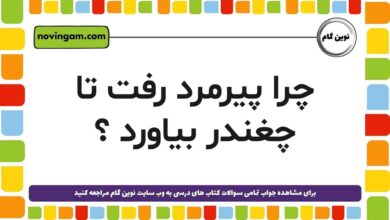 پیرمرد رفت تا چغندر بیاورد