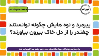 پیرمرد و نوه هایش چگونه توانستند چغندر را از دل خاک بیرون بیاورند