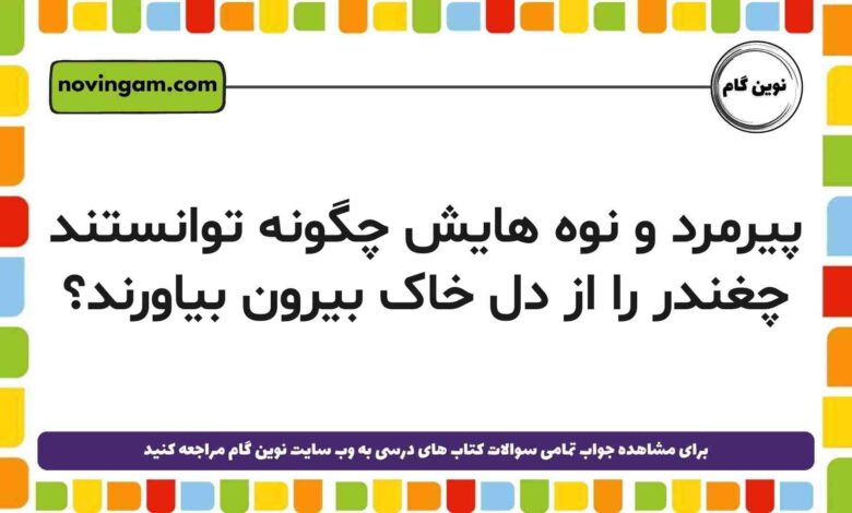 پیرمرد و نوه هایش چگونه توانستند چغندر را از دل خاک بیرون بیاورند