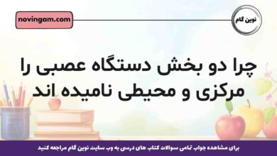 چرا دو بخش دستگاه عصبی را مرکزی و محیطی نامیده اند پاسخ کامل