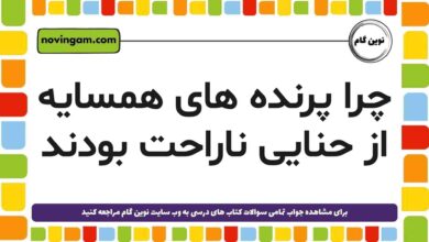 چرا پرنده های همسایه از حنایی ناراحت بودند [مشاهده پاسخ]