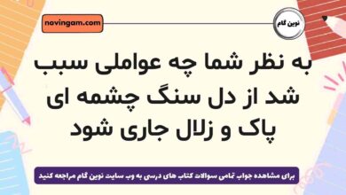 به نظر شما چه عواملی سبب شد از دل سنگ چشمه ای پاک و زلال جاری شود