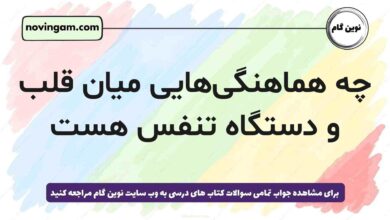 چه هماهنگی‌هایی میان قلب و دستگاه تنفس هست