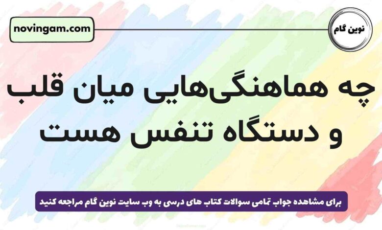 چه هماهنگی‌هایی میان قلب و دستگاه تنفس هست