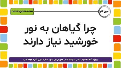 چرا گیاهان به نور خورشید نیاز دارند