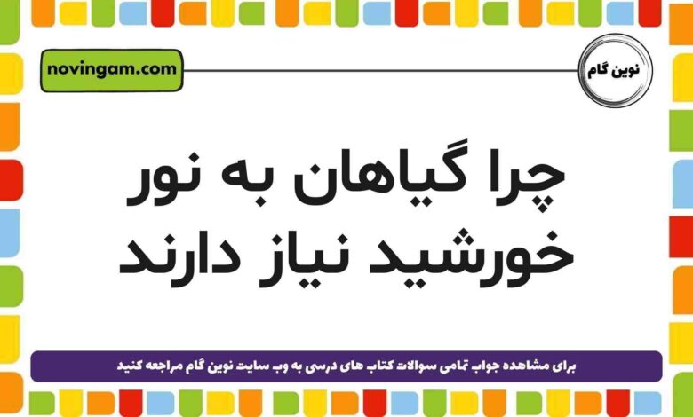 چرا گیاهان به نور خورشید نیاز دارند