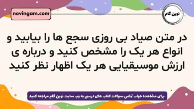 در متن صیاد بی روزی سجع ها را بیابید و انواع هر یک را مشخص کنید و درباره ی ارزش موسیقیایی هر یک اظهار نظر کنید