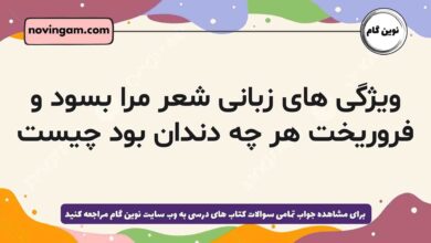 ویژگی های زبانی شعر مرا بسود و فروریخت هر چه دندان بود چیست