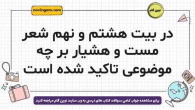 در بیت هشتم و نهم شعر مست و هشیار بر چه موضوعی تاکید شده است