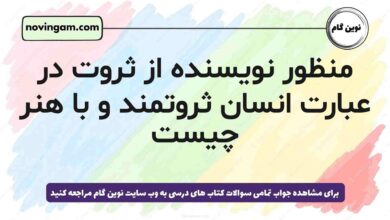 منظور نویسنده از ثروت در عبارت انسان ثروتمند و با هنر چیست
