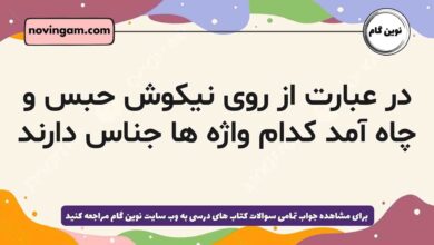 در عبارت از روی نیکوش حبس و چاه آمد کدام واژه ها جناس دارند