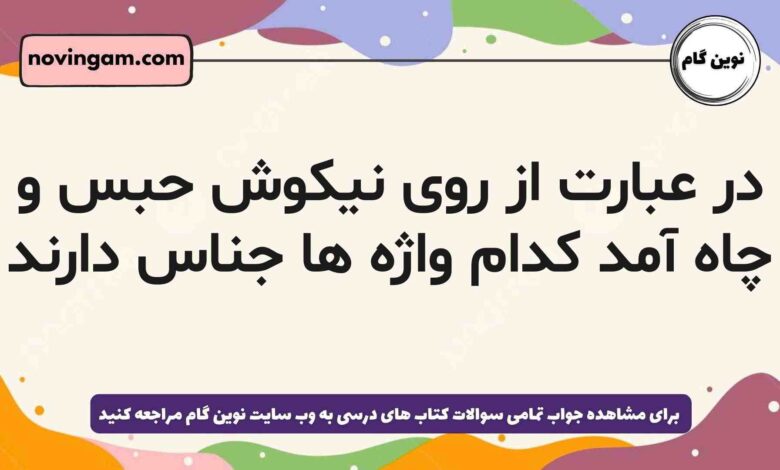در عبارت از روی نیکوش حبس و چاه آمد کدام واژه ها جناس دارند
