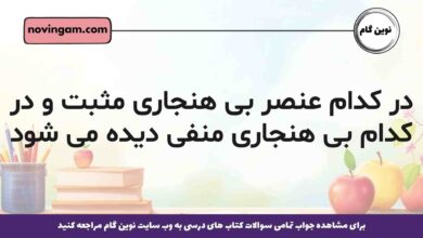 در کدام عنصر بی هنجاری مثبت و در کدام بی هنجاری منفی دیده می شود