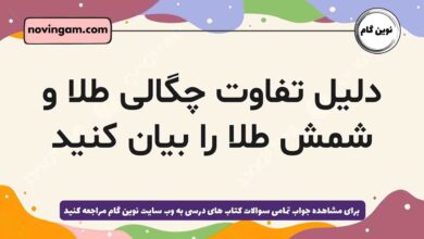 دلیل تفاوت چگالی طلا و شمش طلا را بیان کنید