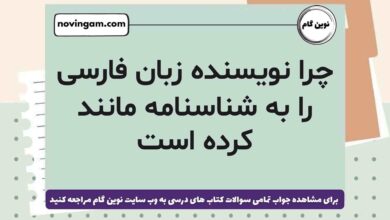چرا نویسنده زبان فارسی را به شناسنامه مانند کرده است
