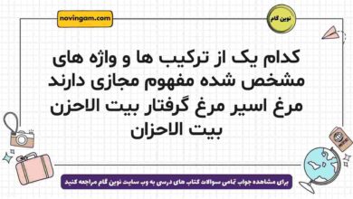 کدام یک از ترکیب ها و واژه های مشخص شده مفهوم مجازی دارند مرغ اسیر مرغ گرفتار بیت الاحزن بیت الاحزان
