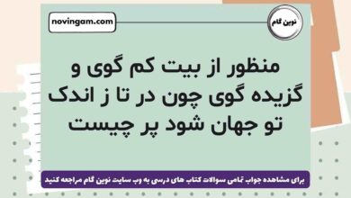 منظور از بیت کم گوی و گزیده گوی چون در تا ز اندک تو جهان شود پر چیست