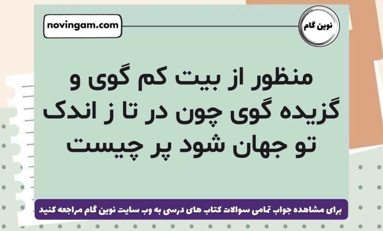 منظور از بیت کم گوی و گزیده گوی چون در تا ز اندک تو جهان شود پر چیست