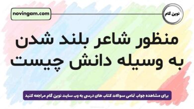 منظور شاعر بلند شدن به وسیله دانش چیست