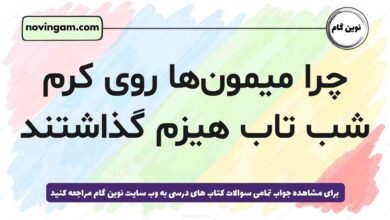 چرا میمون‌ها روی کرم شب تاب هیزم گذاشتند