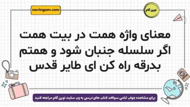 معنای واژه همت در بیت همت اگر سلسله جنبان شود و همتم بدرقه راه کن ای طایر قدس