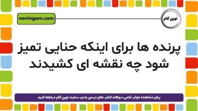 پرنده ها برای اینکه حنایی تمیز شود چه نقشه ای کشیدند