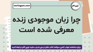 چرا زبان موجودی زنده معرفی شده است