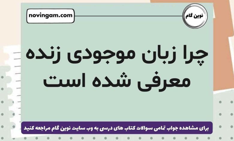 چرا زبان موجودی زنده معرفی شده است